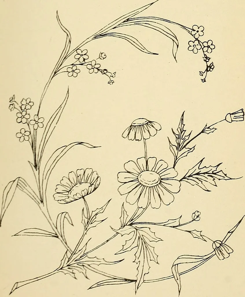 An illustration from Briggs' patent transferring designs, 1880, leaf 148