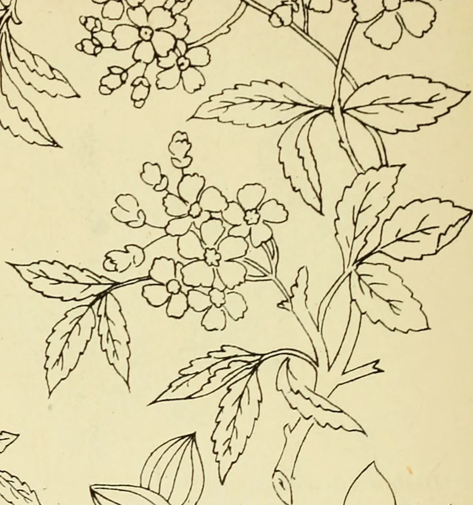 An illustration from Briggs' patent transferring designs, 1880, leaf 155