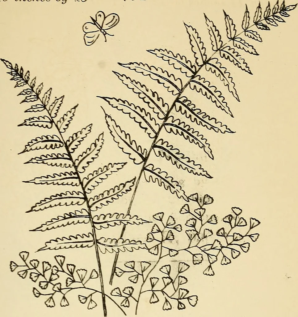 An illustration from Briggs' patent transferring designs, 1880, leaf 160