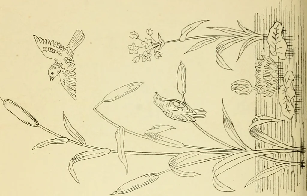 An illustration from Briggs' patent transferring designs, 1880, leaf 169
