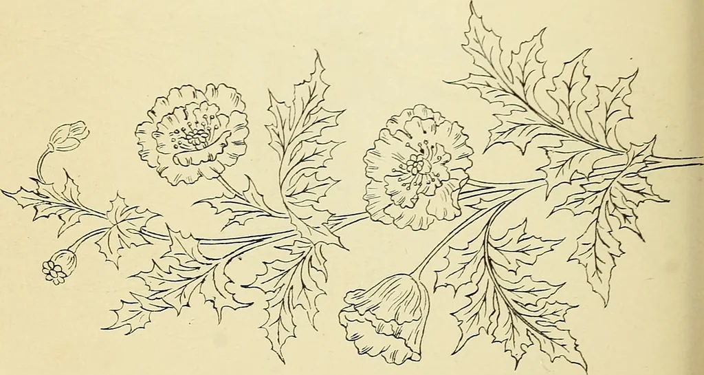 An illustration from Briggs' patent transferring designs, 1880, leaf 169