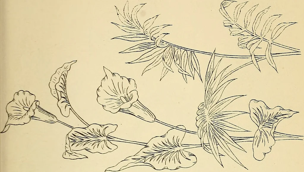 An illustration from Briggs' patent transferring designs, 1880, leaf 170