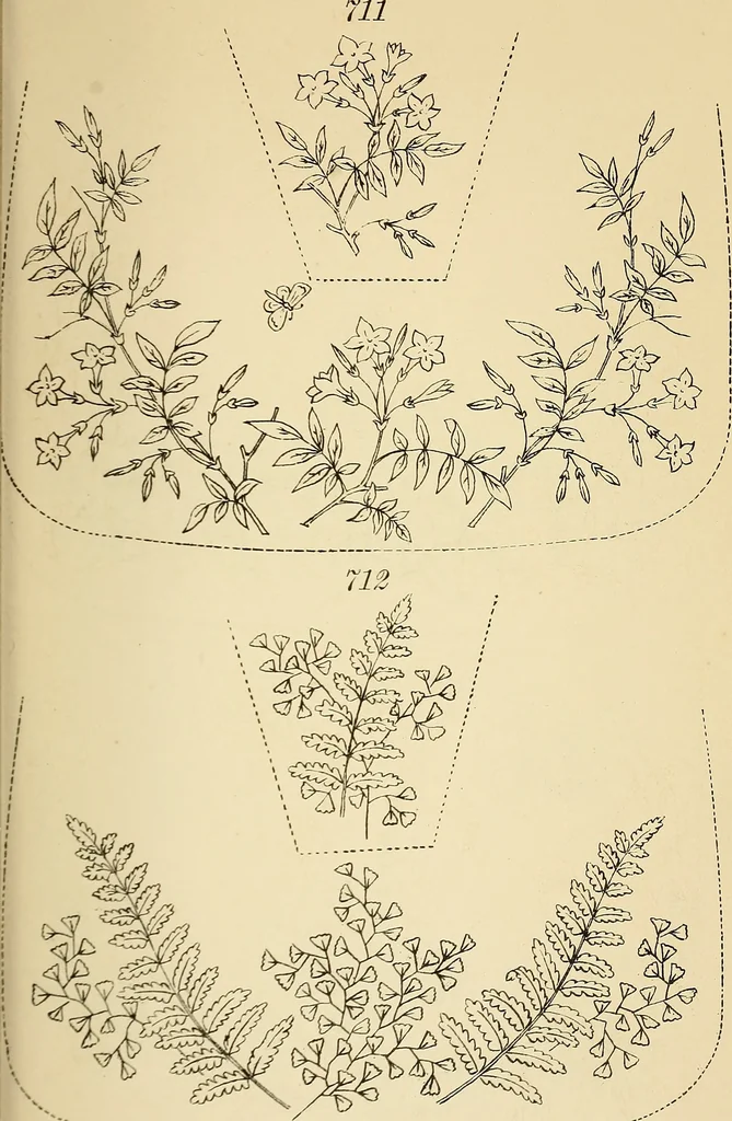 An illustration from Briggs' patent transferring designs, 1880, leaf 174