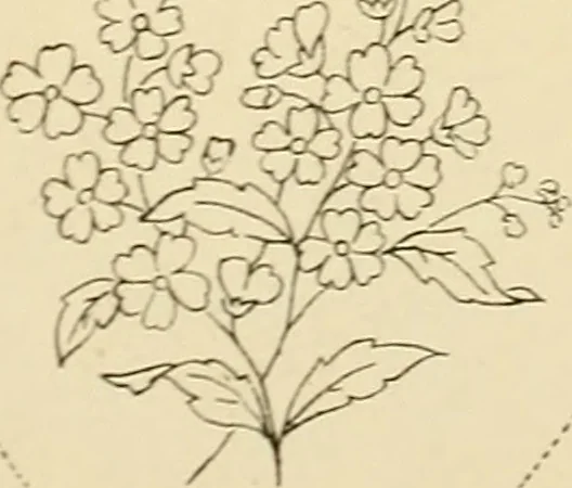 An illustration from Briggs' patent transferring designs, 1880, leaf 182