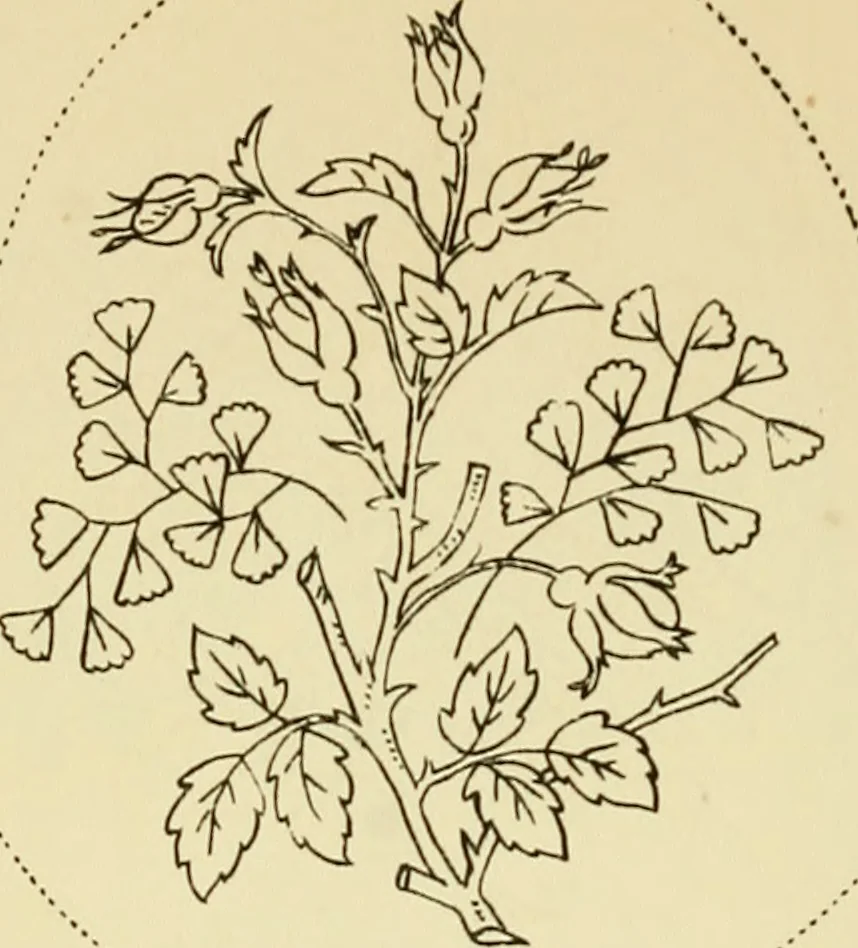 An illustration from Briggs' patent transferring designs, 1880, leaf 185