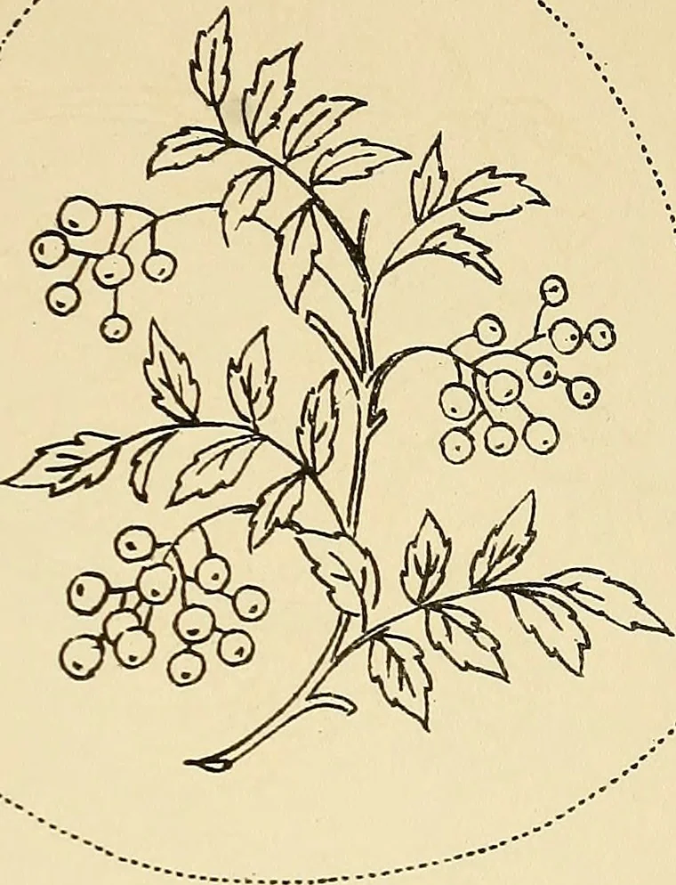 An illustration from Briggs' patent transferring designs, 1880, leaf 186