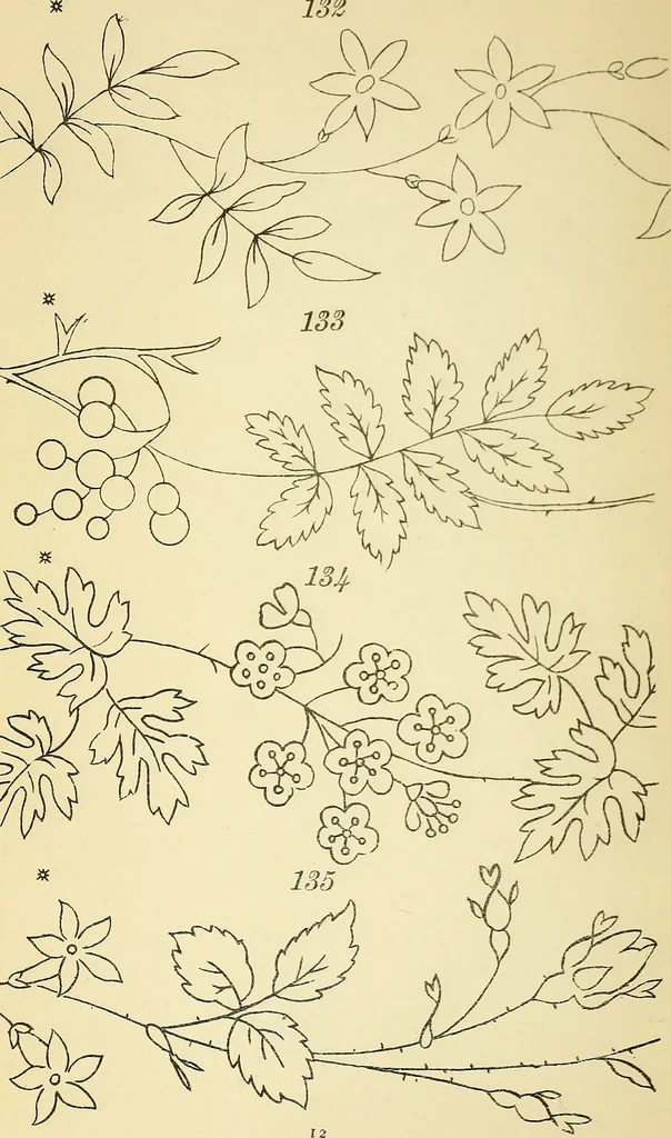 An illustration from Briggs' patent transferring designs, 1880, leaf 19