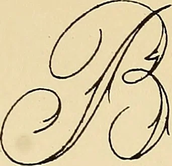 An illustration from Briggs' patent transferring designs, 1880, leaf 194