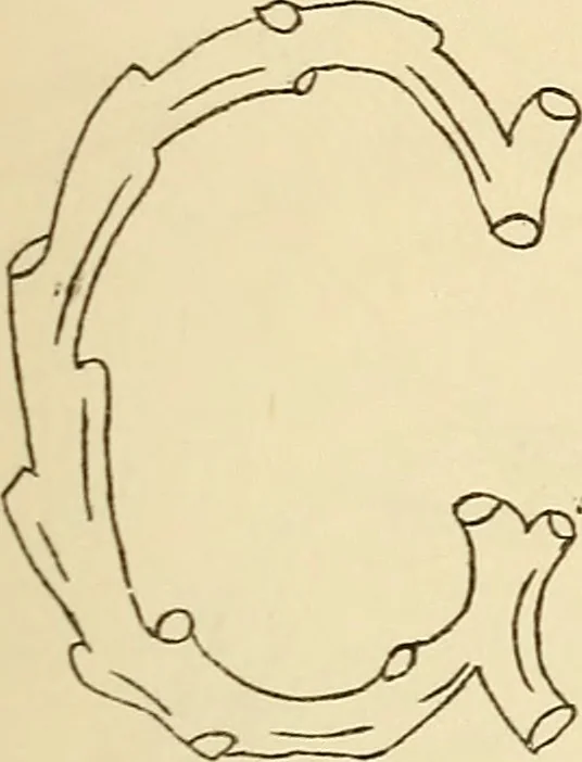 An illustration from Briggs' patent transferring designs, 1880, leaf 196