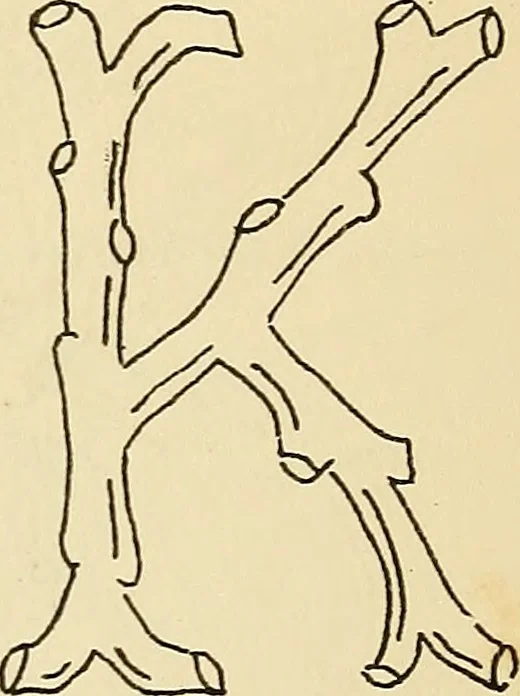 An illustration from Briggs' patent transferring designs, 1880, leaf 196