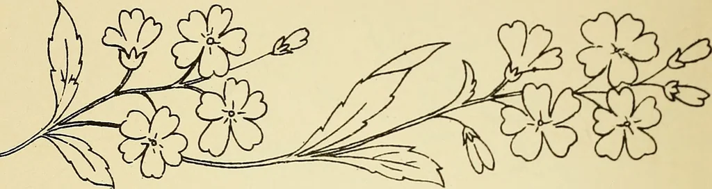 An illustration from Briggs' patent transferring designs, 1880, leaf 21