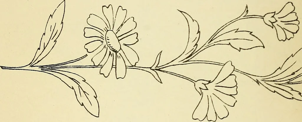 An illustration from Briggs' patent transferring designs, 1880, leaf 21