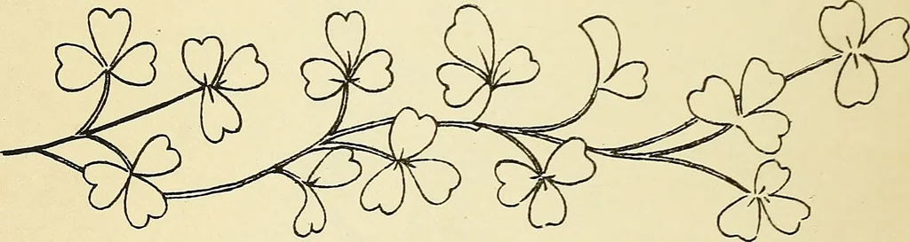 An illustration from Briggs' patent transferring designs, 1880, leaf 21