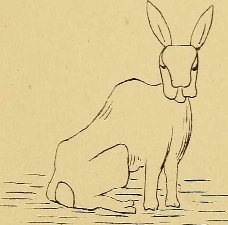 An illustration from Briggs' patent transferring designs, 1880, leaf 213