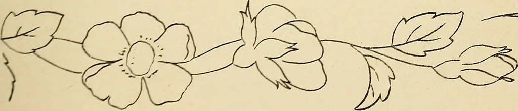 An illustration from Briggs' patent transferring designs, 1880, leaf 22