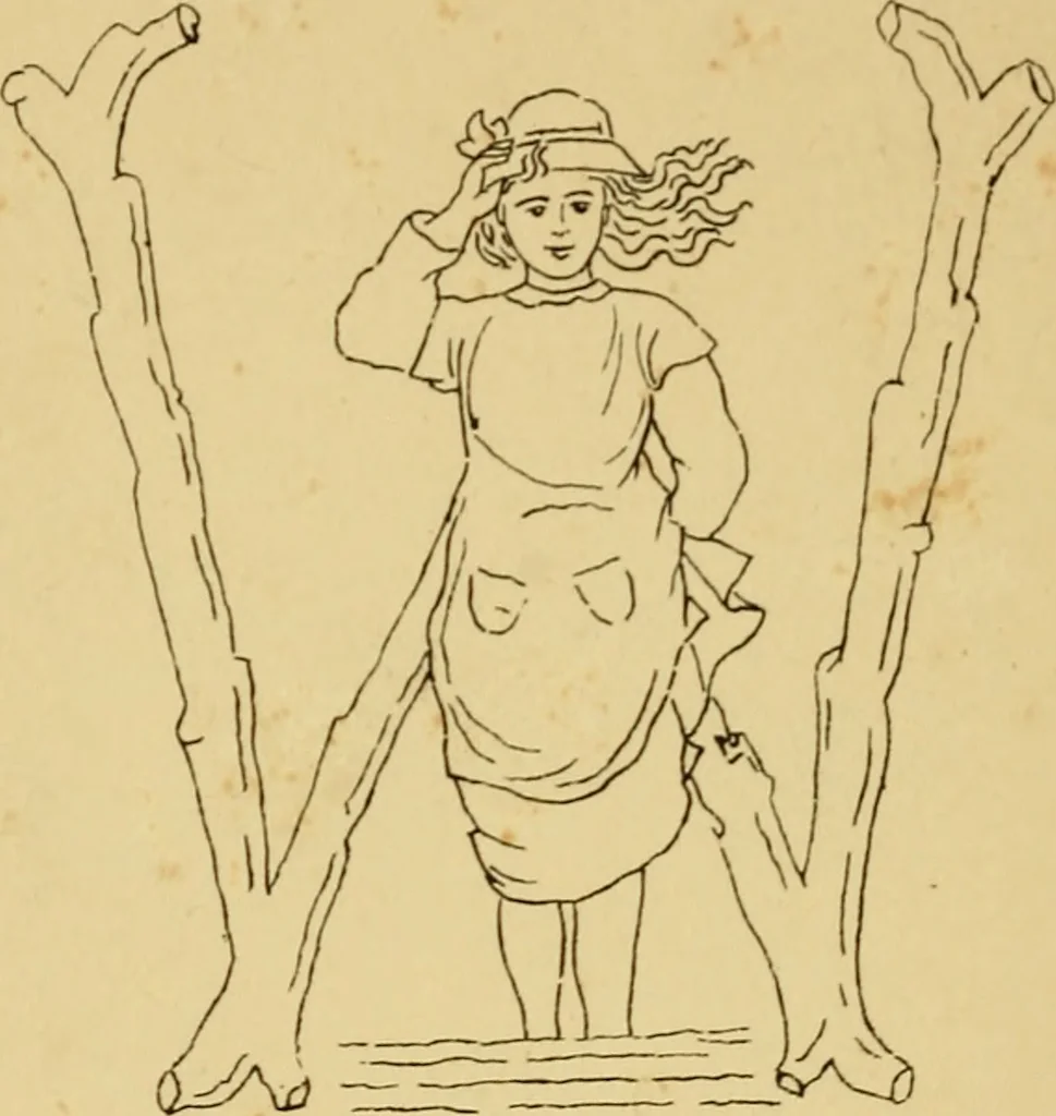 An illustration from Briggs' patent transferring designs, 1880, leaf 223