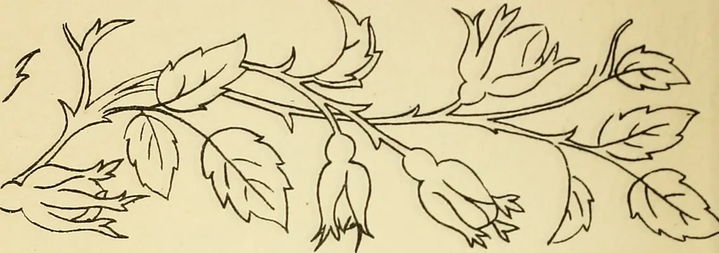 An illustration from Briggs' patent transferring designs, 1880, leaf 23