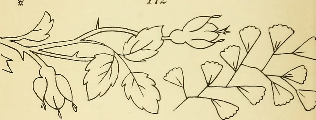 An illustration from Briggs' patent transferring designs, 1880, leaf 23