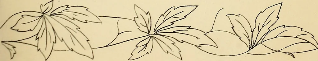 An illustration from Briggs' patent transferring designs, 1880, leaf 24