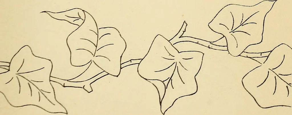 An illustration from Briggs' patent transferring designs, 1880, leaf 28