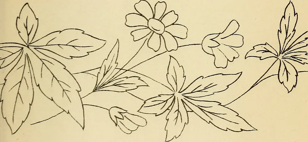 An illustration from Briggs' patent transferring designs, 1880, leaf 36