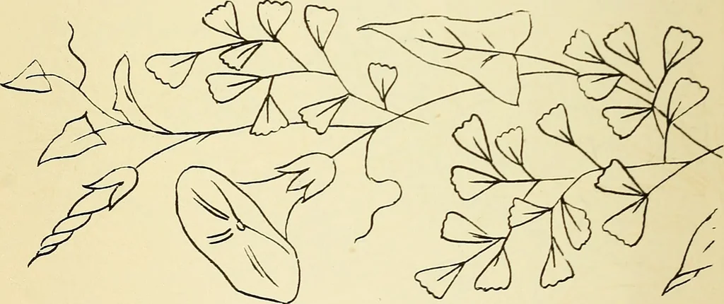 An illustration from Briggs' patent transferring designs, 1880, leaf 37