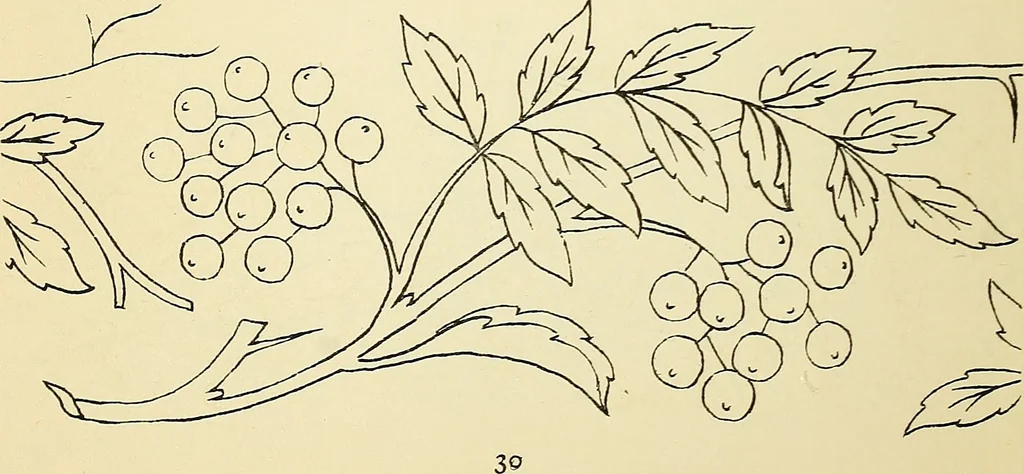 An illustration from Briggs' patent transferring designs, 1880, leaf 37