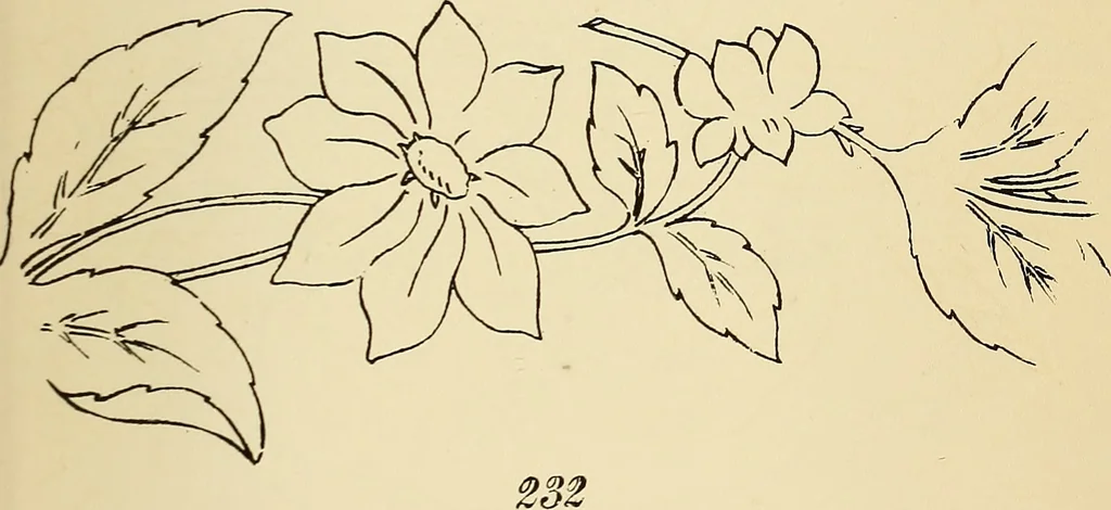 An illustration from Briggs' patent transferring designs, 1880, leaf 38