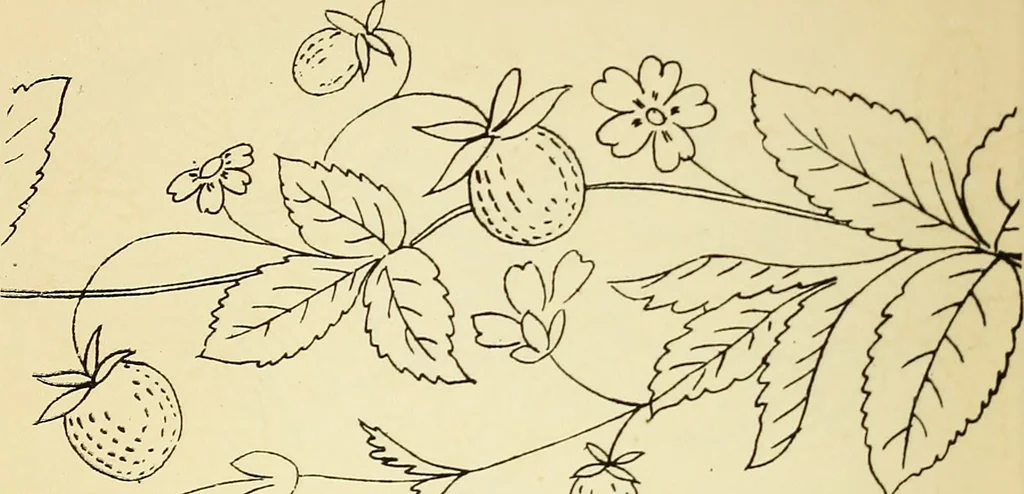 An illustration from Briggs' patent transferring designs, 1880, leaf 41