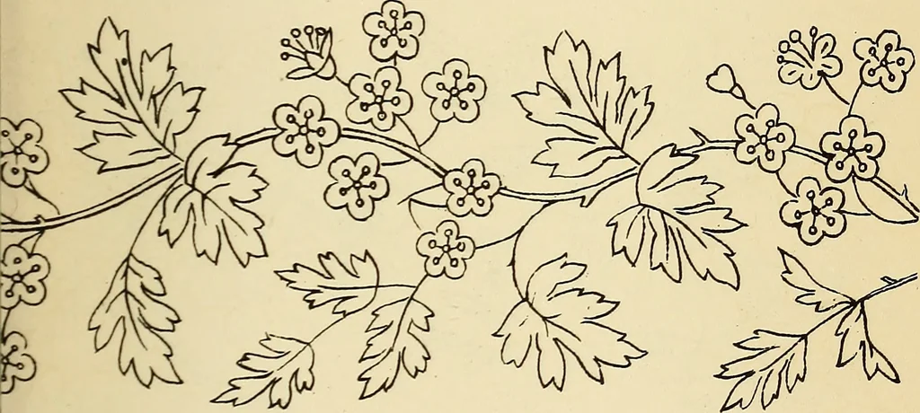 An illustration from Briggs' patent transferring designs, 1880, leaf 42