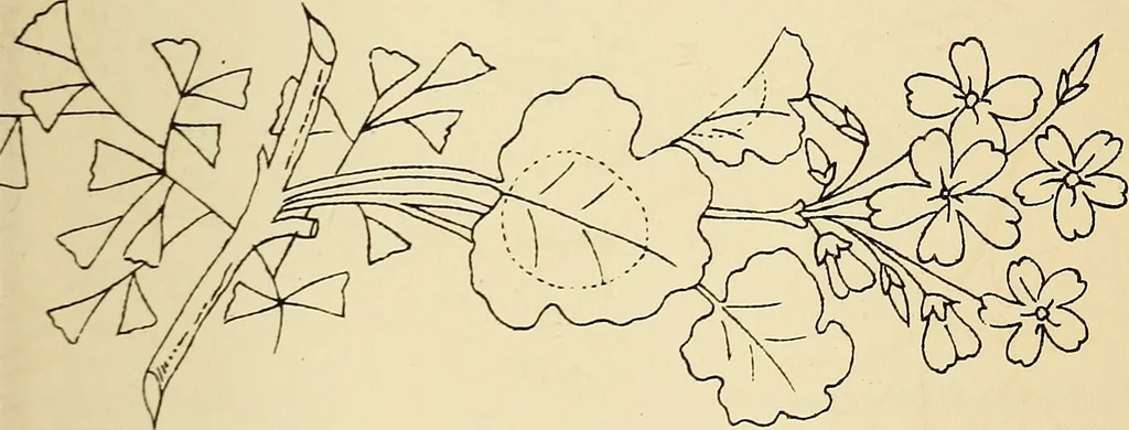 An illustration from Briggs' patent transferring designs, 1880, leaf 44