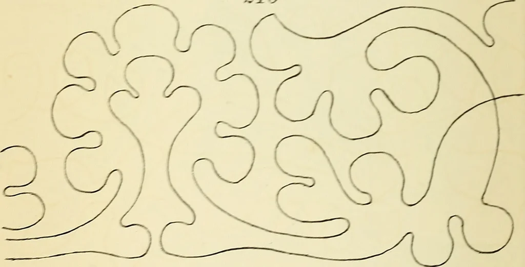 An illustration from Briggs' patent transferring designs, 1880, leaf 47