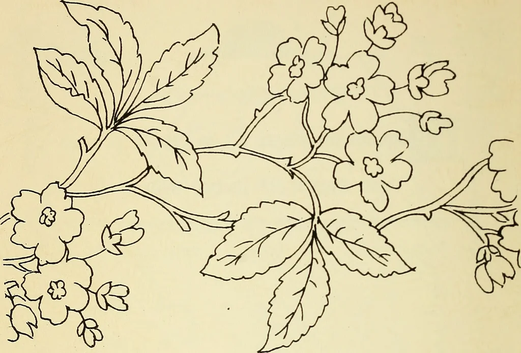 An illustration from Briggs' patent transferring designs, 1880, leaf 51