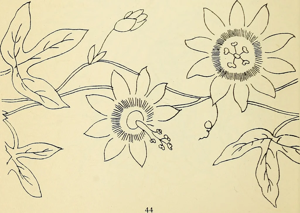 An illustration from Briggs' patent transferring designs, 1880, leaf 51
