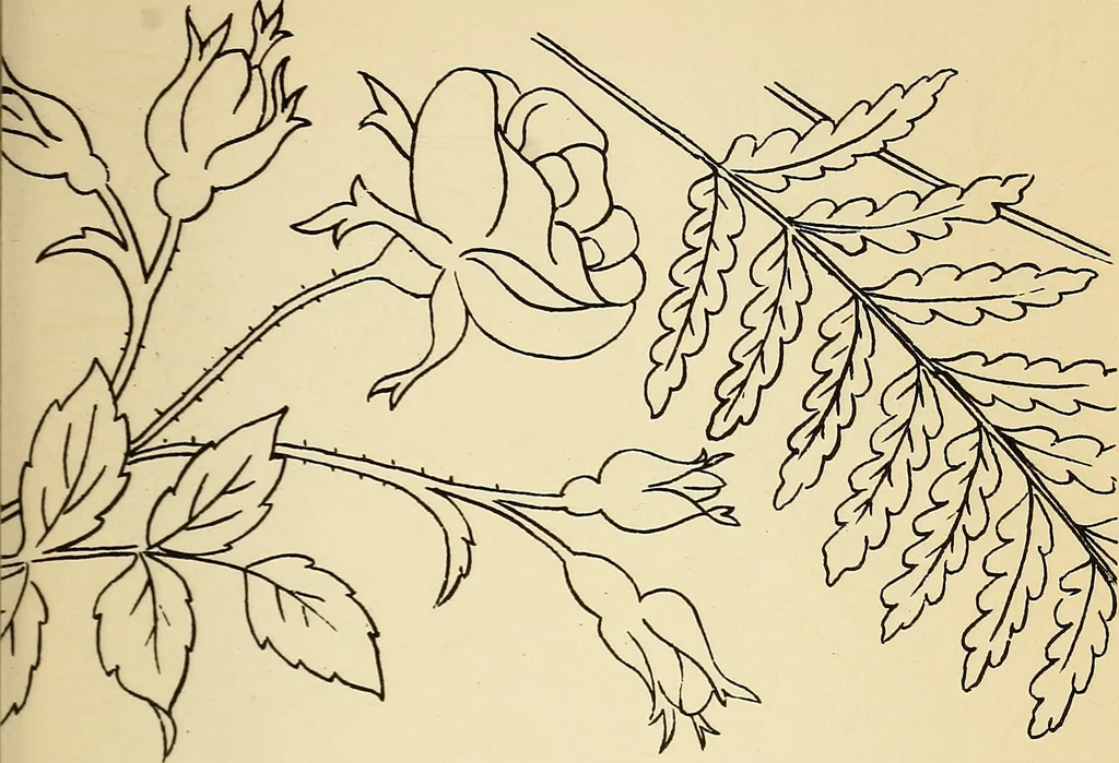An illustration from Briggs' patent transferring designs, 1880, leaf 54