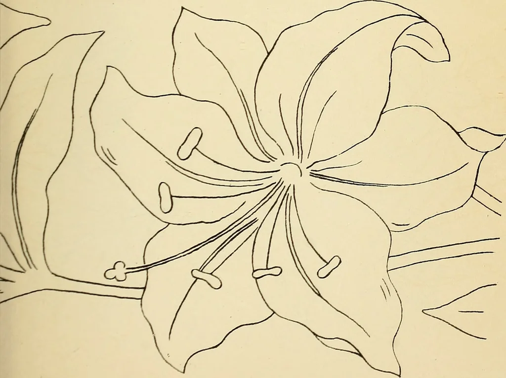 An illustration from Briggs' patent transferring designs, 1880, leaf 54