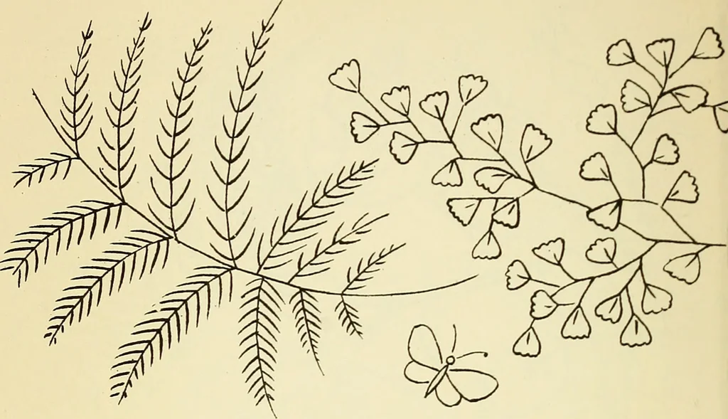 An illustration from Briggs' patent transferring designs, 1880, leaf 55
