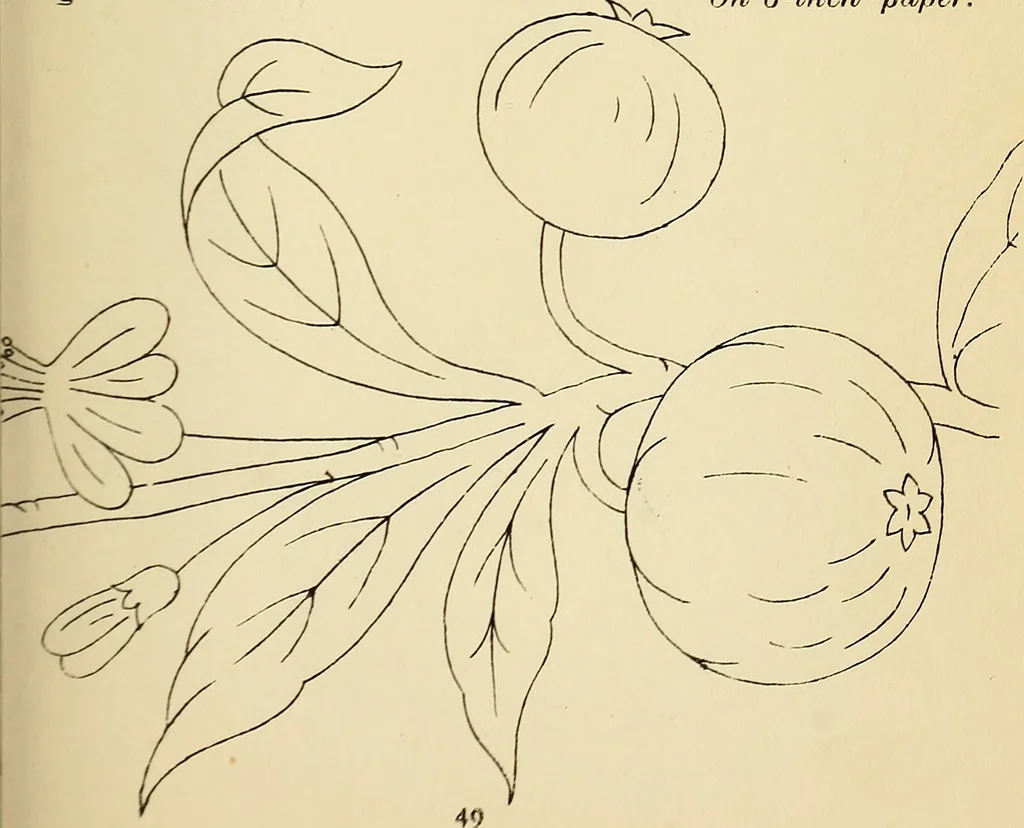 An illustration from Briggs' patent transferring designs, 1880, leaf 56