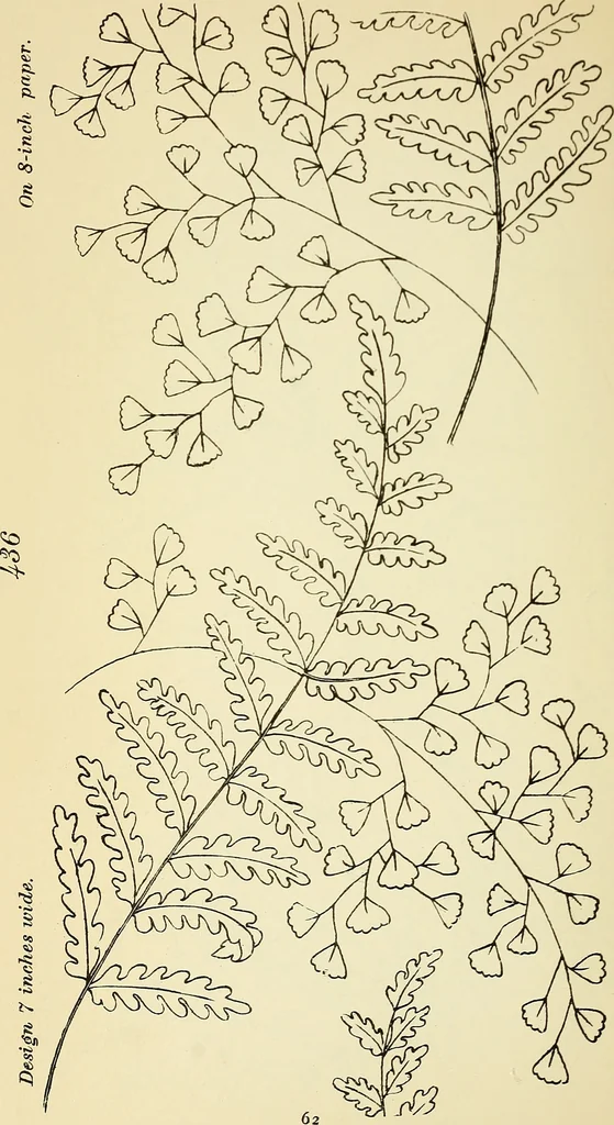 An illustration from Briggs' patent transferring designs, 1880, leaf 69