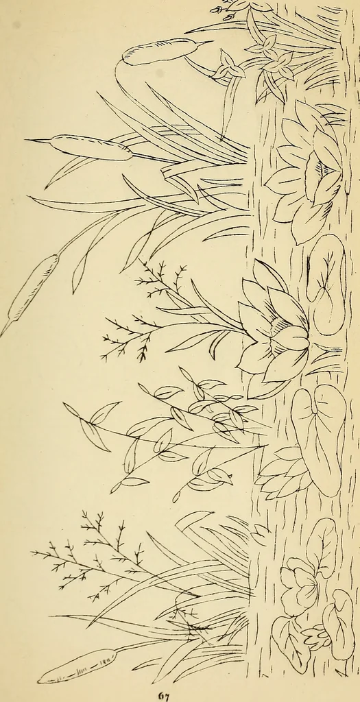 An illustration from Briggs' patent transferring designs, 1880, leaf 74