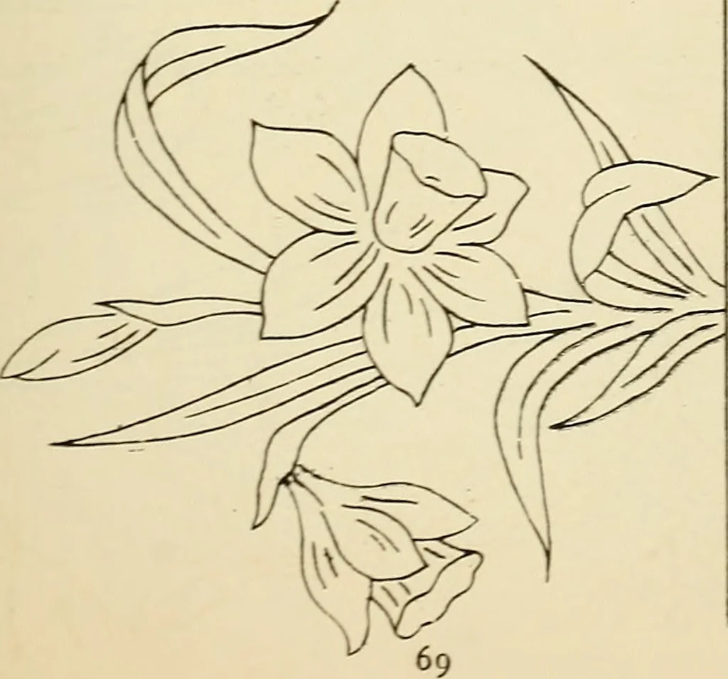 An illustration from Briggs' patent transferring designs, 1880, leaf 76