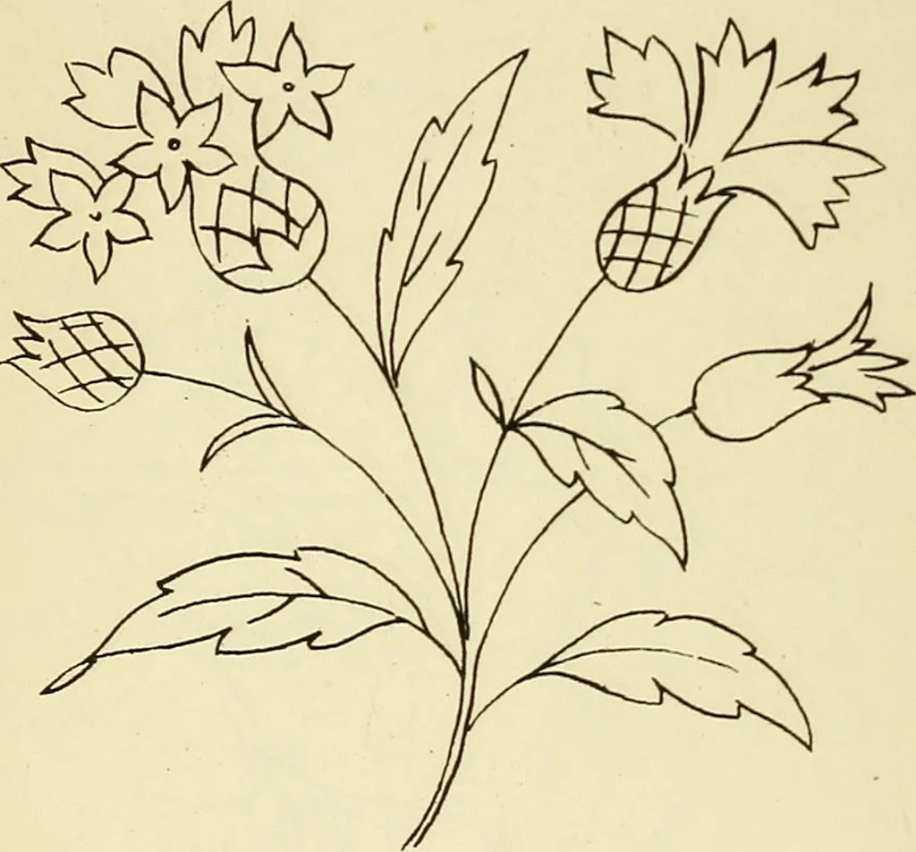An illustration from Briggs' patent transferring designs, 1880, leaf 81