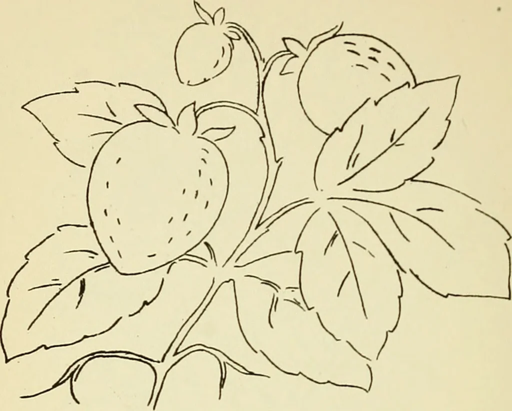 An illustration from Briggs' patent transferring designs, 1880, leaf 87
