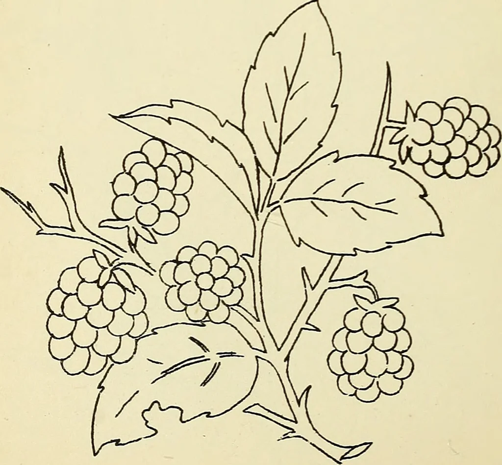 An illustration from Briggs' patent transferring designs, 1880, leaf 87