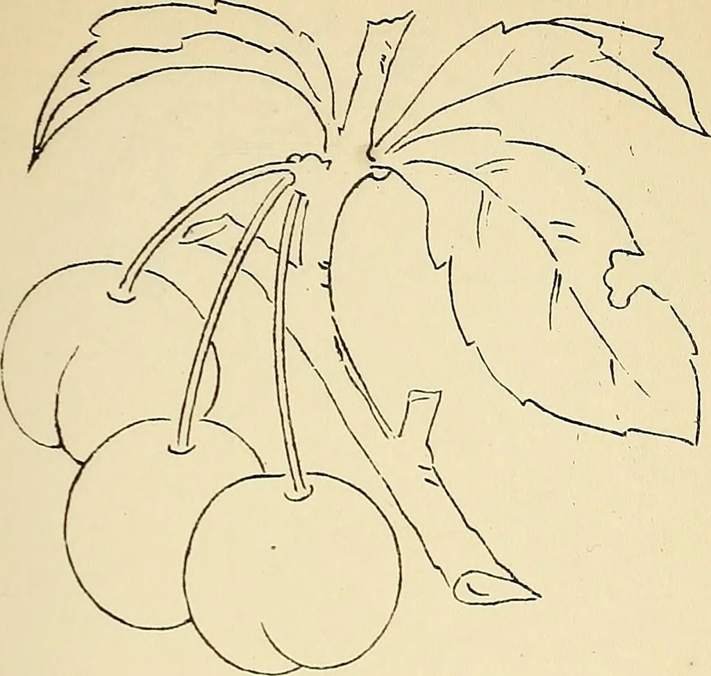 An illustration from Briggs' patent transferring designs, 1880, leaf 88