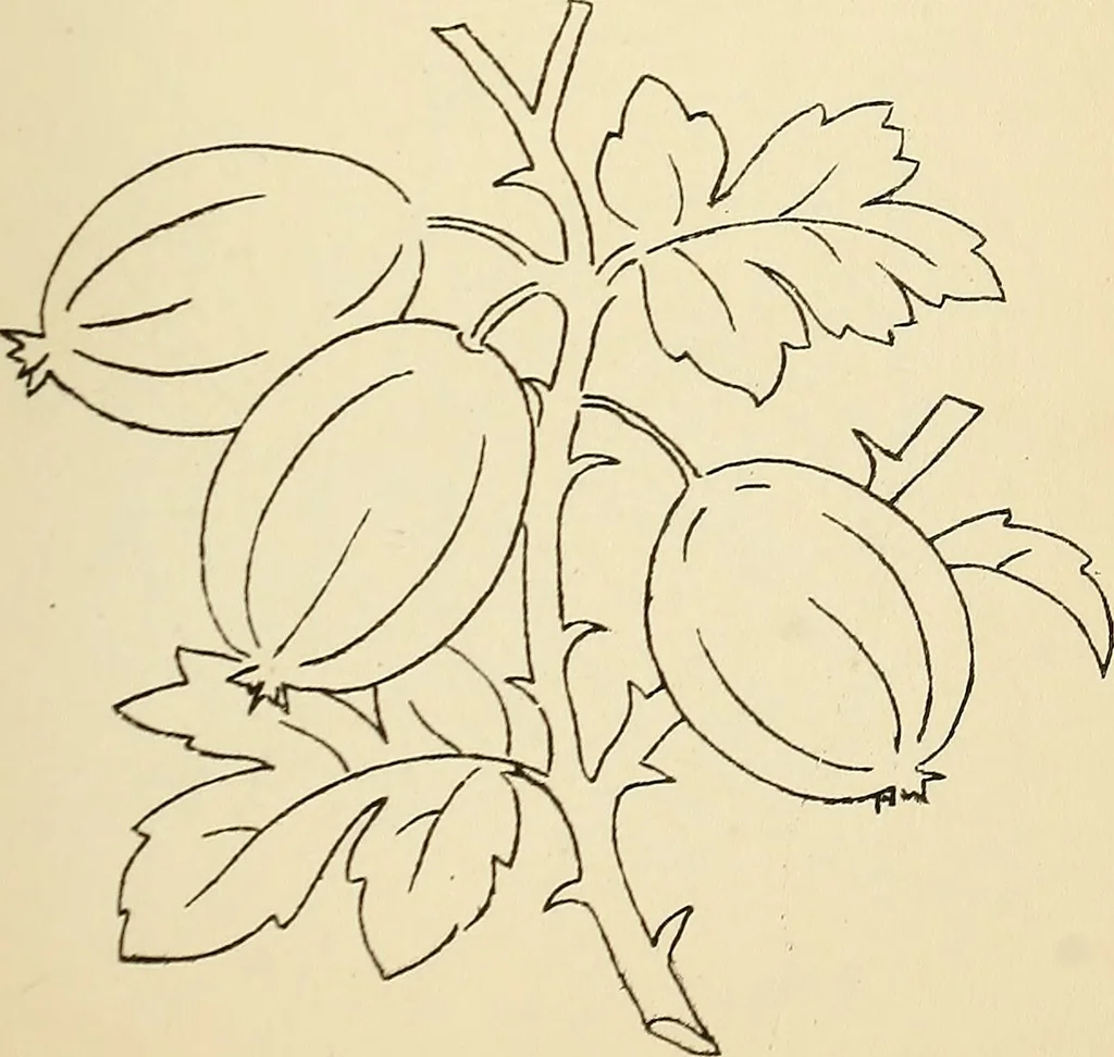 An illustration from Briggs' patent transferring designs, 1880, leaf 88
