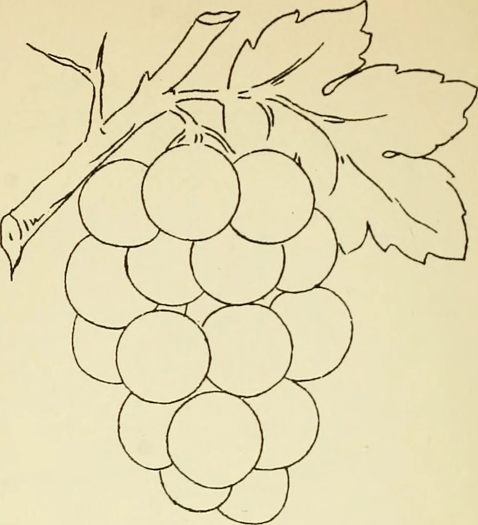 An illustration from Briggs' patent transferring designs, 1880, leaf 89