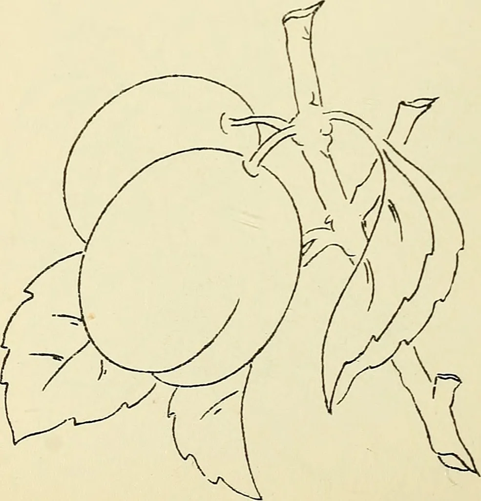 An illustration from Briggs' patent transferring designs, 1880, leaf 89