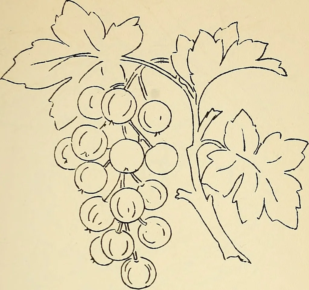 An illustration from Briggs' patent transferring designs, 1880, leaf 90