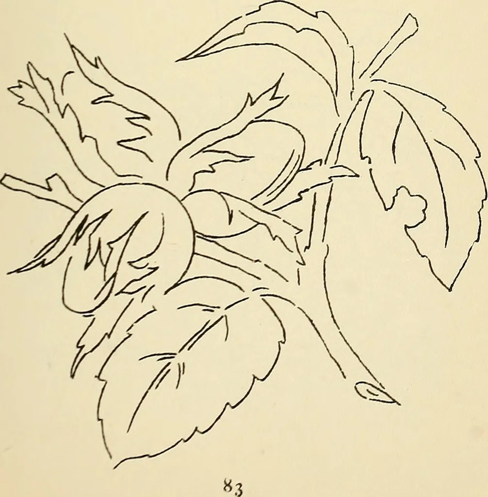 An illustration from Briggs' patent transferring designs, 1880, leaf 90